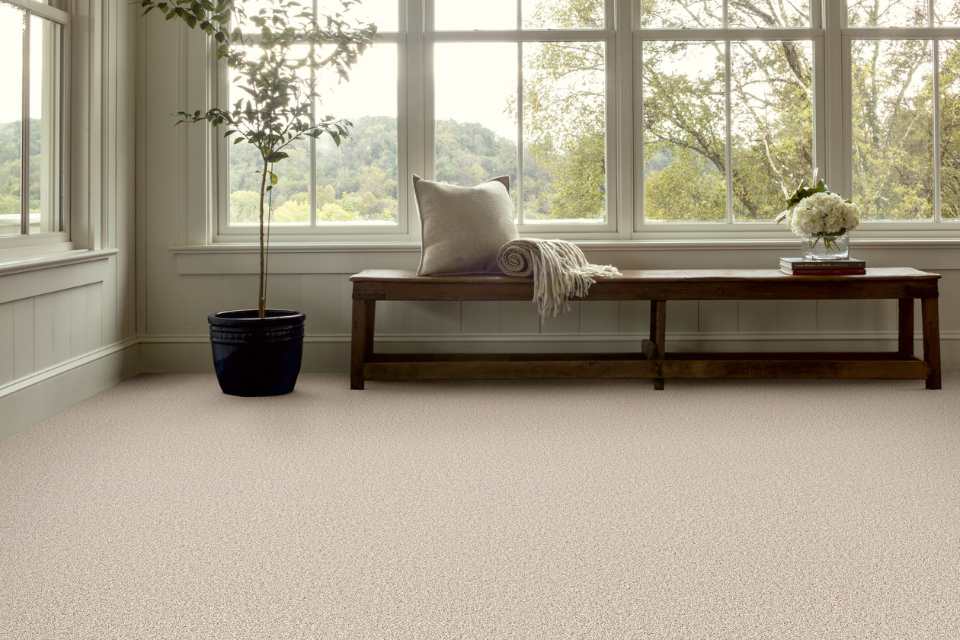 カーペット (kāpetto)room carpet